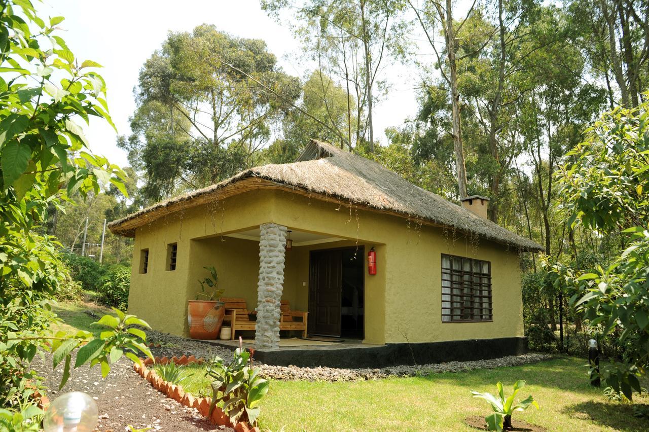 Davinci Gorilla Lodge Kinigi 외부 사진